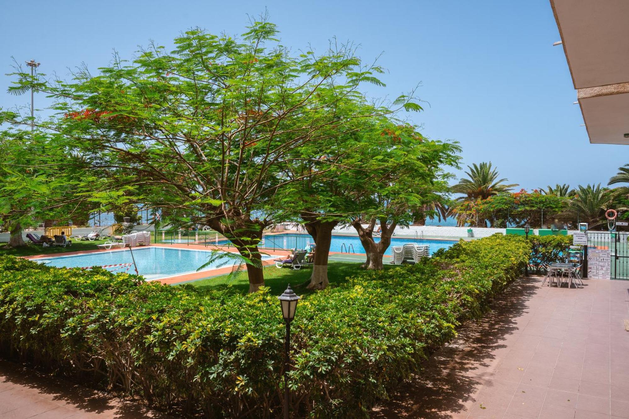Go2Tenerife Apart'Dida Pool & First Line Of The Sea 洛斯克里斯蒂亚诺斯 外观 照片